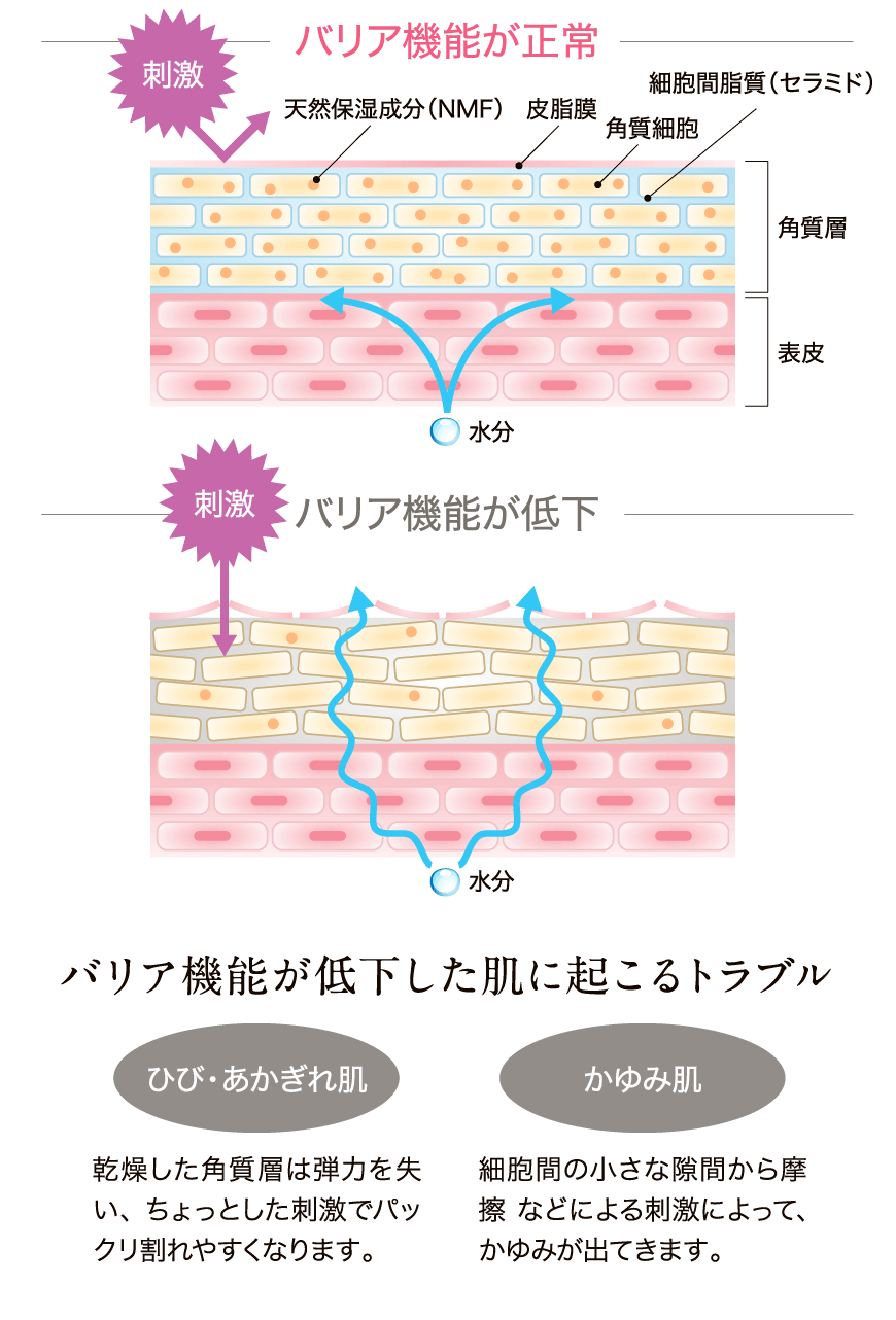 バリア機能とは？